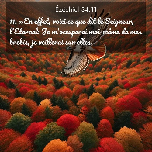 image nature avec verset biblique de la Bible