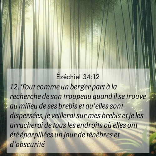 image nature avec verset biblique de la Bible
