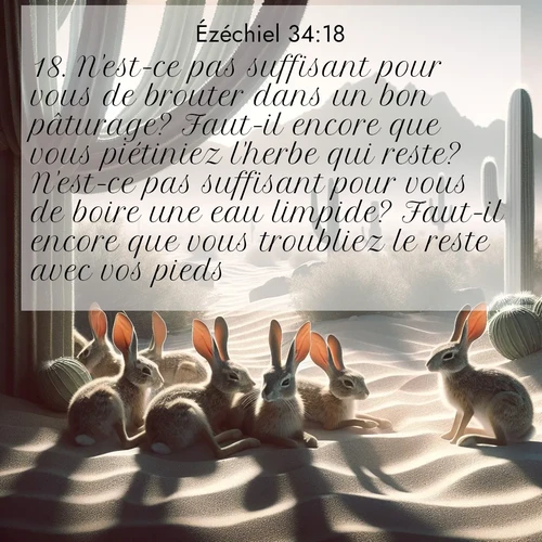 image nature avec verset biblique de la Bible