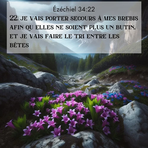 image nature avec verset biblique de la Bible