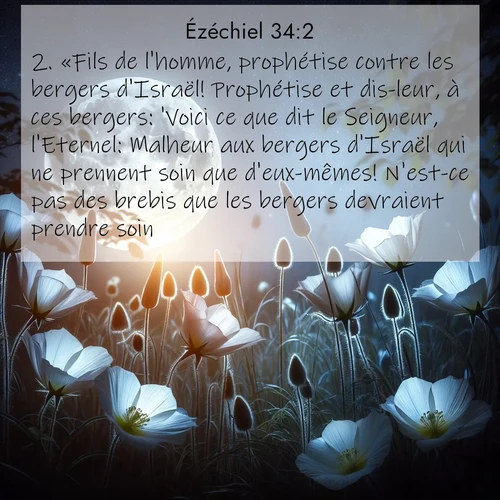 Segond21 26 34:2