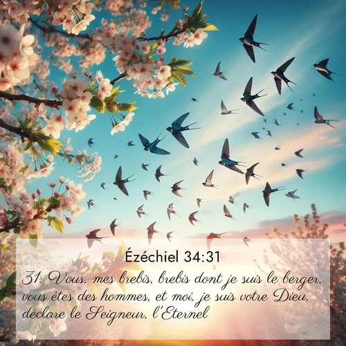 image nature avec verset biblique de la Bible