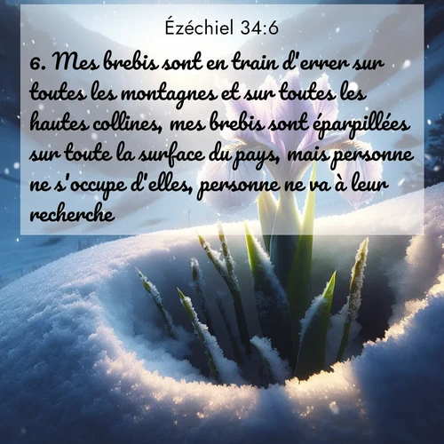 image nature avec verset biblique de la Bible