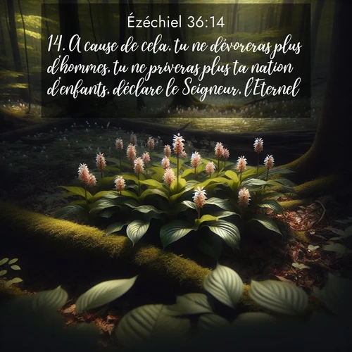 image nature avec verset biblique de la Bible