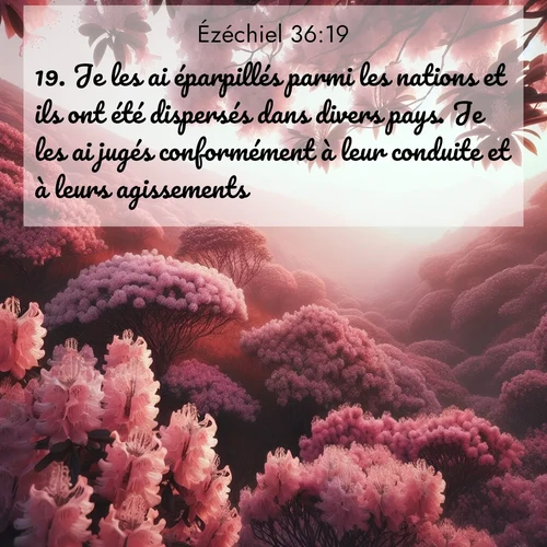 image nature avec verset biblique de la Bible