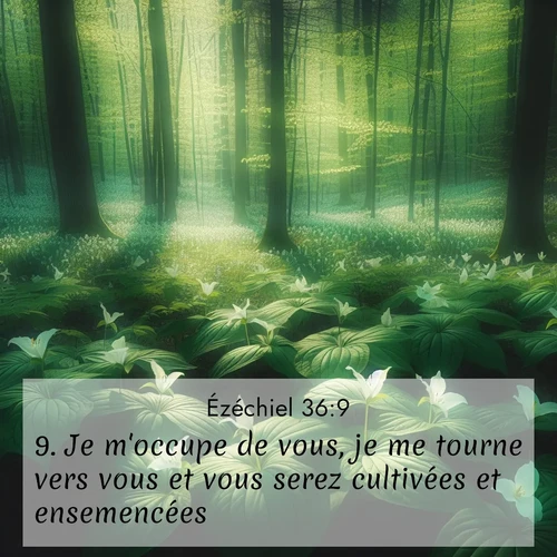 Segond21 Ézéchiel  ; image nature: image avec le verset biblique :Je m&#039;occupe de vous, je me tourne vers vous et vous serez cultivées et ensemencées. ;  ; 36:9