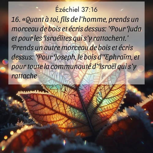 image nature avec verset biblique de la Bible
