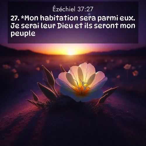 image nature avec verset biblique de la Bible