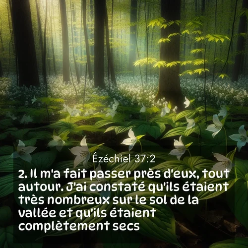image nature avec verset biblique de la Bible