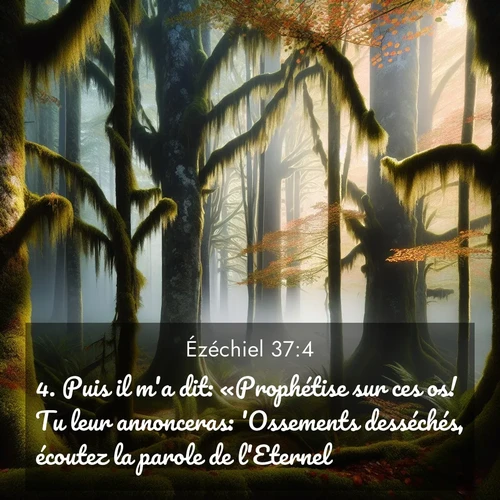 image nature avec verset biblique de la Bible