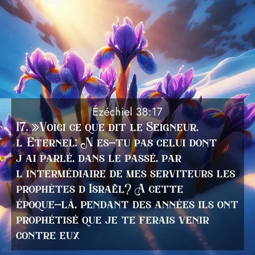 Segond21 Ézéchiel  ; image nature: image avec le verset biblique :»Voici ce que dit le Seigneur, l&#039;Eternel: N&#039;es-tu pas celui dont j&#039;ai parlé, dans le passé, par l&#039;intermédiaire de mes serviteurs les prophètes d&#039;Israël? A cette époque-là, pendant des années ils ont prophétisé que je te ferais venir contre eux. ;  ; 38:17