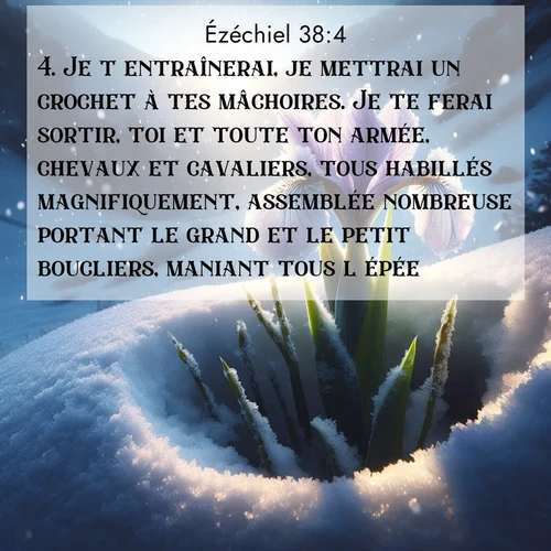 Segond21 Ézéchiel  ; image nature: image avec le verset biblique :Je t&#039;entraînerai, je mettrai un crochet à tes mâchoires. Je te ferai sortir, toi et toute ton armée, chevaux et cavaliers, tous habillés magnifiquement, assemblée nombreuse portant le grand et le petit boucliers, maniant tous l&#039;épée. ;  ; 38:4