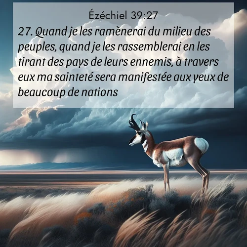 image nature avec verset biblique de la Bible