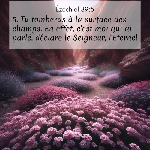 image nature avec verset biblique de la Bible