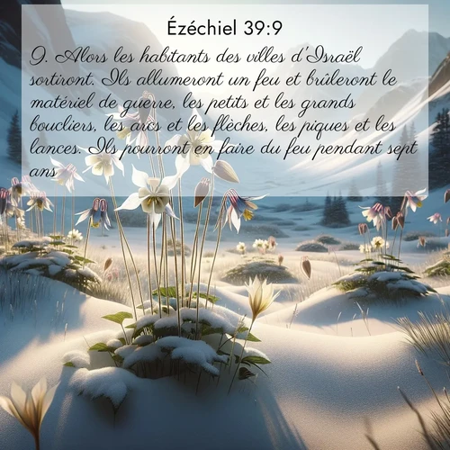Segond21 Ézéchiel  ; image nature: image avec le verset biblique :Alors les habitants des villes d&#039;Israël sortiront. Ils allumeront un feu et brûleront le matériel de guerre, les petits et les grands boucliers, les arcs et les flèches, les piques et les lances. Ils pourront en faire du feu pendant sept ans. ;  ; 39:9
