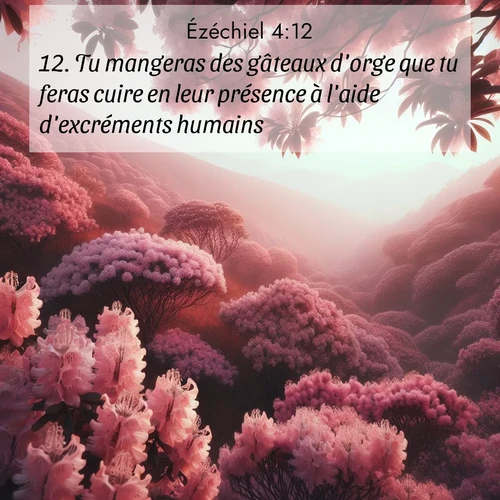 Segond21 Ézéchiel  ; image nature: image avec le verset biblique :Tu mangeras des gâteaux d&#039;orge que tu feras cuire en leur présence à l&#039;aide d&#039;excréments humains.» ;  ; 4:12