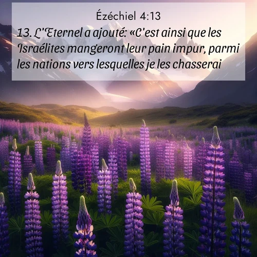 Segond21 Ézéchiel  ; image nature: image avec le verset biblique :L&#039;Eternel a ajouté: «C&#039;est ainsi que les Israélites mangeront leur pain impur, parmi les nations vers lesquelles je les chasserai.» ;  ; 4:13