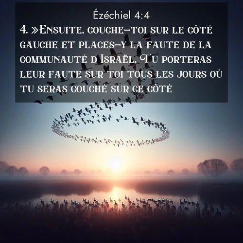 Segond21 Ézéchiel  ; image nature: image avec le verset biblique :»Ensuite, couche-toi sur le côté gauche et places-y la faute de la communauté d&#039;Israël. Tu porteras leur faute sur toi tous les jours où tu seras couché sur ce côté. ;  ; 4:4