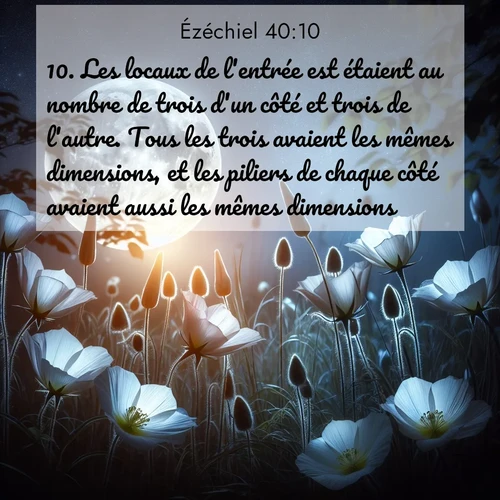 Segond21 Ézéchiel  ; image nature: image avec le verset biblique :Les locaux de l&#039;entrée est étaient au nombre de trois d&#039;un côté et trois de l&#039;autre. Tous les trois avaient les mêmes dimensions, et les piliers de chaque côté avaient aussi les mêmes dimensions. ;  ; 40:10