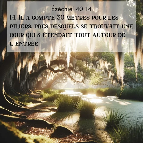 Segond21 Ézéchiel  ; image nature: image avec le verset biblique :Il a compté 30 mètres pour les piliers, près desquels se trouvait une cour qui s&#039;étendait tout autour de l&#039;entrée. ;  ; 40:14