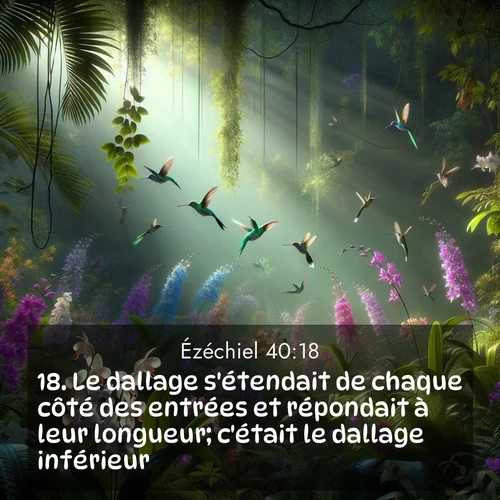 Segond21 Ézéchiel  ; image nature: image avec le verset biblique :Le dallage s&#039;étendait de chaque côté des entrées et répondait à leur longueur; c&#039;était le dallage inférieur. ;  ; 40:18