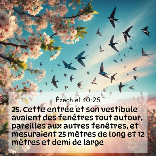 Segond21 Ézéchiel  ; image nature: image avec le verset biblique :Cette entrée et son vestibule avaient des fenêtres tout autour, pareilles aux autres fenêtres, et mesuraient 25 mètres de long et 12 mètres et demi de large. ;  ; 40:25