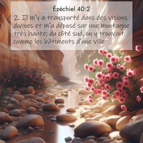 Segond21 Ézéchiel  ; image nature: image avec le verset biblique :Il m&#039;y a transporté dans des visions divines et m&#039;a déposé sur une montagne très haute; du côté sud, on y trouvait comme les bâtiments d&#039;une ville. ;  ; 40:2