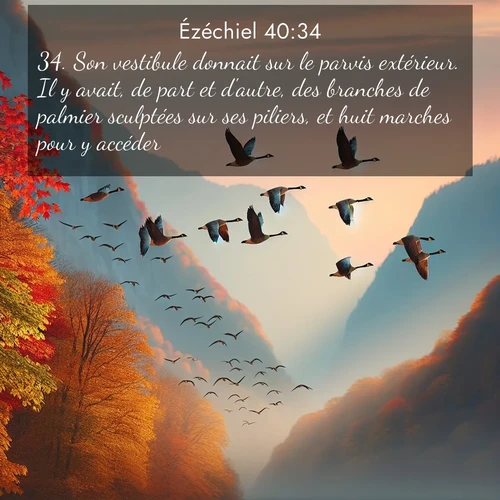 Segond21 Ézéchiel  ; image nature: image avec le verset biblique :Son vestibule donnait sur le parvis extérieur. Il y avait, de part et d&#039;autre, des branches de palmier sculptées sur ses piliers, et huit marches pour y accéder. ;  ; 40:34