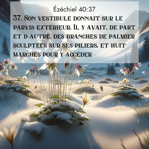 Segond21 Ézéchiel  ; image nature: image avec le verset biblique :Son vestibule donnait sur le parvis extérieur. Il y avait, de part et d&#039;autre, des branches de palmier sculptées sur ses piliers, et huit marches pour y accéder. ;  ; 40:37