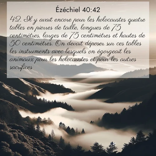 Segond21 Ézéchiel  ; image nature: image avec le verset biblique :Il y avait encore pour les holocaustes quatre tables en pierres de taille, longues de 75 centimètres, larges de 75 centimètres et hautes de 50 centimètres. On devait déposer sur ces tables les instruments avec lesquels on égorgeait les animaux pour les holocaustes et pour les autres sacrifices. ;  ; 40:42