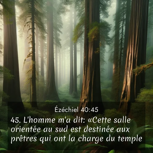 Segond21 Ézéchiel  ; image nature: image avec le verset biblique :L&#039;homme m&#039;a dit: «Cette salle orientée au sud est destinée aux prêtres qui ont la charge du temple, ;  ; 40:45
