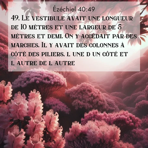 Segond21 Ézéchiel  ; image nature: image avec le verset biblique :Le vestibule avait une longueur de 10 mètres et une largeur de 5 mètres et demi. On y accédait par des marches. Il y avait des colonnes à côté des piliers, l&#039;une d&#039;un côté et l&#039;autre de l&#039;autre. ;  ; 40:49