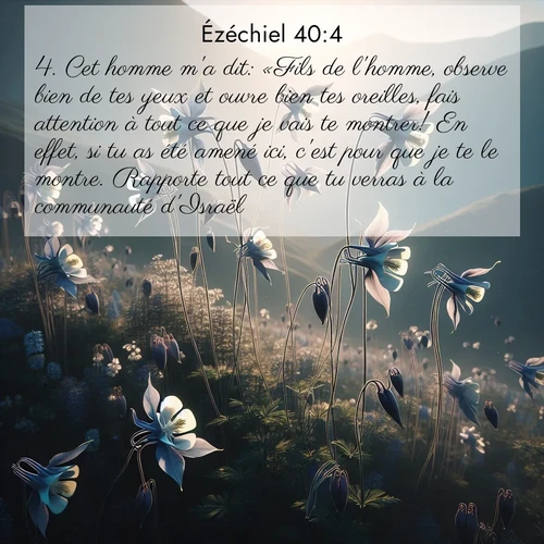 Segond21 Ézéchiel  ; image nature: image avec le verset biblique :Cet homme m&#039;a dit: «Fils de l&#039;homme, observe bien de tes yeux et ouvre bien tes oreilles, fais attention à tout ce que je vais te montrer! En effet, si tu as été amené ici, c&#039;est pour que je te le montre. Rapporte tout ce que tu verras à la communauté d&#039;Israël!» ;  ; 40:4