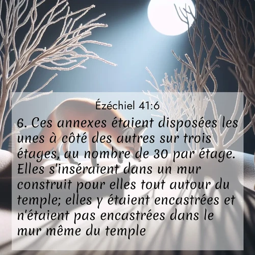 Segond21 Ézéchiel  ; image nature: image avec le verset biblique :Ces annexes étaient disposées les unes à côté des autres sur trois étages, au nombre de 30 par étage. Elles s&#039;inséraient dans un mur construit pour elles tout autour du temple; elles y étaient encastrées et n&#039;étaient pas encastrées dans le mur même du temple. ;  ; 41:6