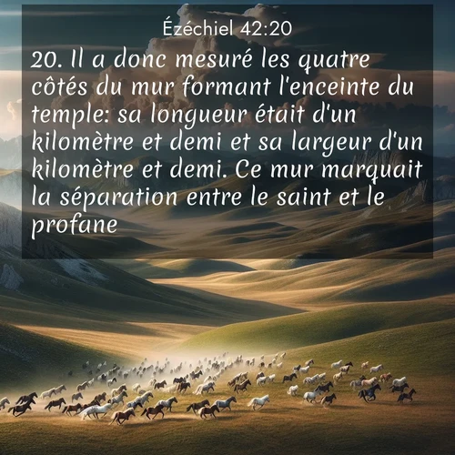 Segond21 Ézéchiel  ; image nature: image avec le verset biblique :Il a donc mesuré les quatre côtés du mur formant l&#039;enceinte du temple: sa longueur était d&#039;un kilomètre et demi et sa largeur d&#039;un kilomètre et demi. Ce mur marquait la séparation entre le saint et le profane. ;  ; 42:20