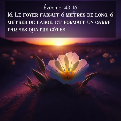 image nature avec verset biblique de la Bible