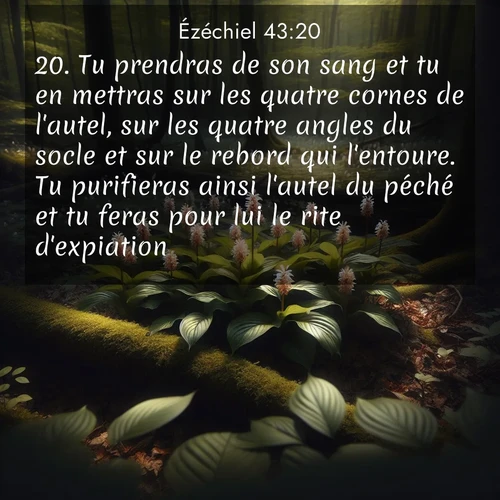 image nature avec verset biblique de la Bible