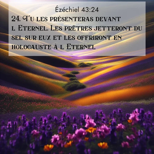 image nature avec verset biblique de la Bible