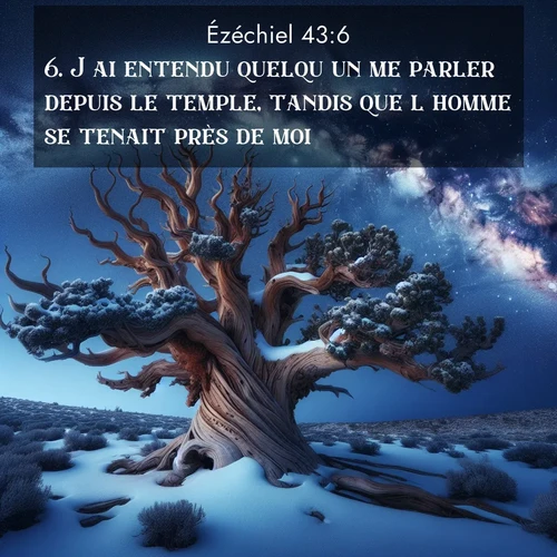 image nature avec verset biblique de la Bible