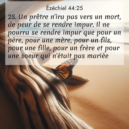 Segond21 Ézéchiel  ; image nature: image avec le verset biblique :Un prêtre n&#039;ira pas vers un mort, de peur de se rendre impur. Il ne pourra se rendre impur que pour un père, pour une mère, pour un fils, pour une fille, pour un frère et pour une soeur qui n&#039;était pas mariée. ;  ; 44:25