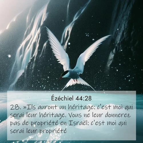 Segond21 Ézéchiel  ; image nature: image avec le verset biblique :»Ils auront un héritage: c&#039;est moi qui serai leur héritage. Vous ne leur donnerez pas de propriété en Israël: c&#039;est moi qui serai leur propriété. ;  ; 44:28
