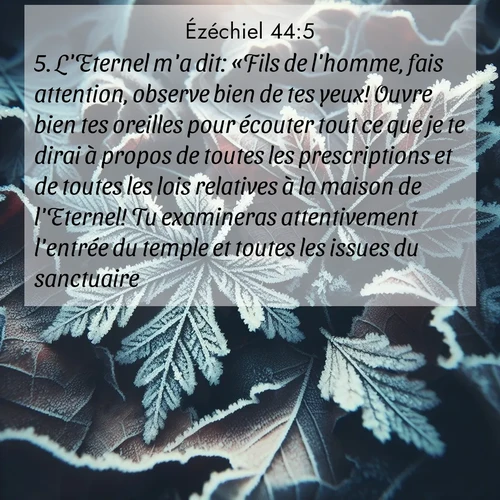Segond21 Ézéchiel  ; image nature: image avec le verset biblique :L&#039;Eternel m&#039;a dit: «Fils de l&#039;homme, fais attention, observe bien de tes yeux! Ouvre bien tes oreilles pour écouter tout ce que je te dirai à propos de toutes les prescriptions et de toutes les lois relatives à la maison de l&#039;Eternel! Tu examineras attentivement l&#039;entrée du temple et toutes les issues du sanctuaire. ;  ; 44:5