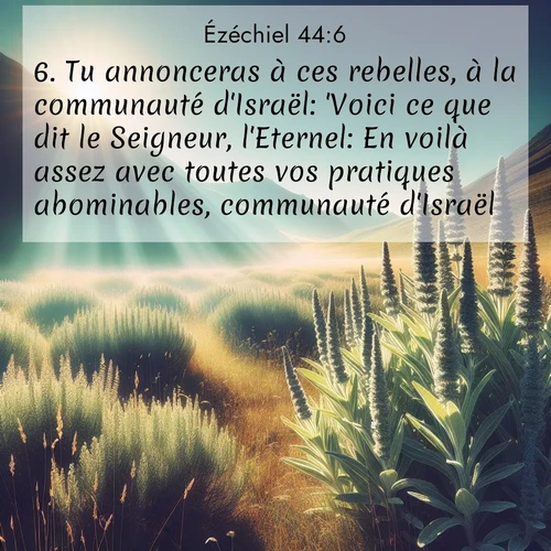 Segond21 Ézéchiel  ; image nature: image avec le verset biblique :Tu annonceras à ces rebelles, à la communauté d&#039;Israël: &#039;Voici ce que dit le Seigneur, l&#039;Eternel: En voilà assez avec toutes vos pratiques abominables, communauté d&#039;Israël! ;  ; 44:6