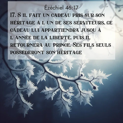 Segond21 Ézéchiel  ; image nature: image avec le verset biblique :S&#039;il fait un cadeau pris sur son héritage à l&#039;un de ses serviteurs, ce cadeau lui appartiendra jusqu&#039;à l&#039;année de la liberté, puis il retournera au prince. Ses fils seuls posséderont son héritage. ;  ; 46:17
