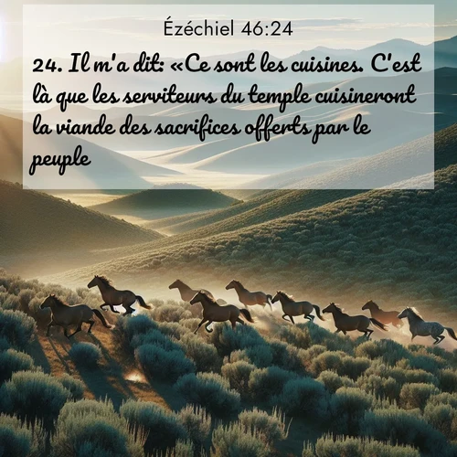 Segond21 Ézéchiel  ; image nature: image avec le verset biblique :Il m&#039;a dit: «Ce sont les cuisines. C&#039;est là que les serviteurs du temple cuisineront la viande des sacrifices offerts par le peuple.» ;  ; 46:24