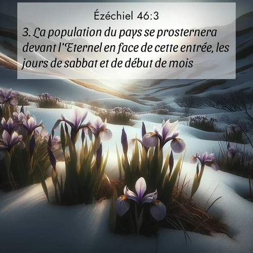 Segond21 Ézéchiel  ; image nature: image avec le verset biblique :La population du pays se prosternera devant l&#039;Eternel en face de cette entrée, les jours de sabbat et de début de mois. ;  ; 46:3