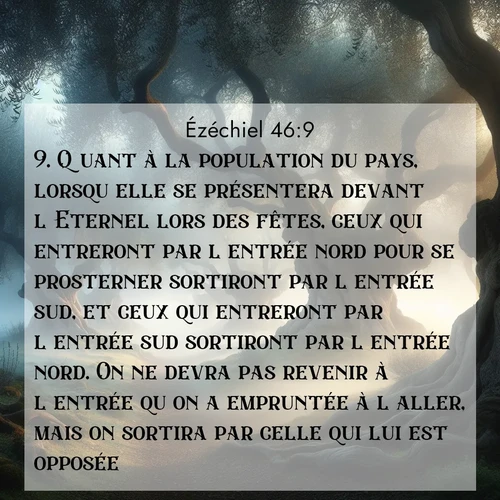 Segond21 Ézéchiel  ; image nature: image avec le verset biblique :Quant à la population du pays, lorsqu&#039;elle se présentera devant l&#039;Eternel lors des fêtes, ceux qui entreront par l&#039;entrée nord pour se prosterner sortiront par l&#039;entrée sud, et ceux qui entreront par l&#039;entrée sud sortiront par l&#039;entrée nord. On ne devra pas revenir à l&#039;entrée qu&#039;on a empruntée à l&#039;aller, mais on sortira par celle qui lui est opposée. ;  ; 46:9