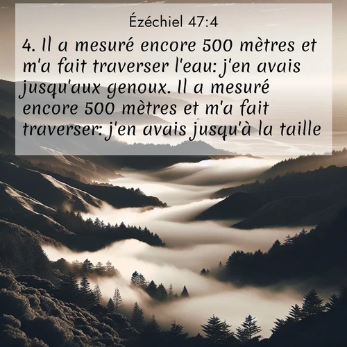 image nature avec verset biblique de la Bible