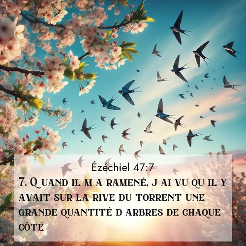 image nature avec verset biblique de la Bible