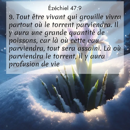 image nature avec verset biblique de la Bible